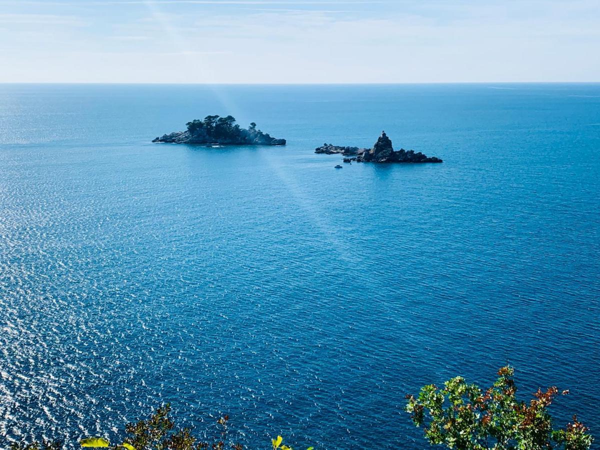 Best View Apartment Petrovac Exteriér fotografie
