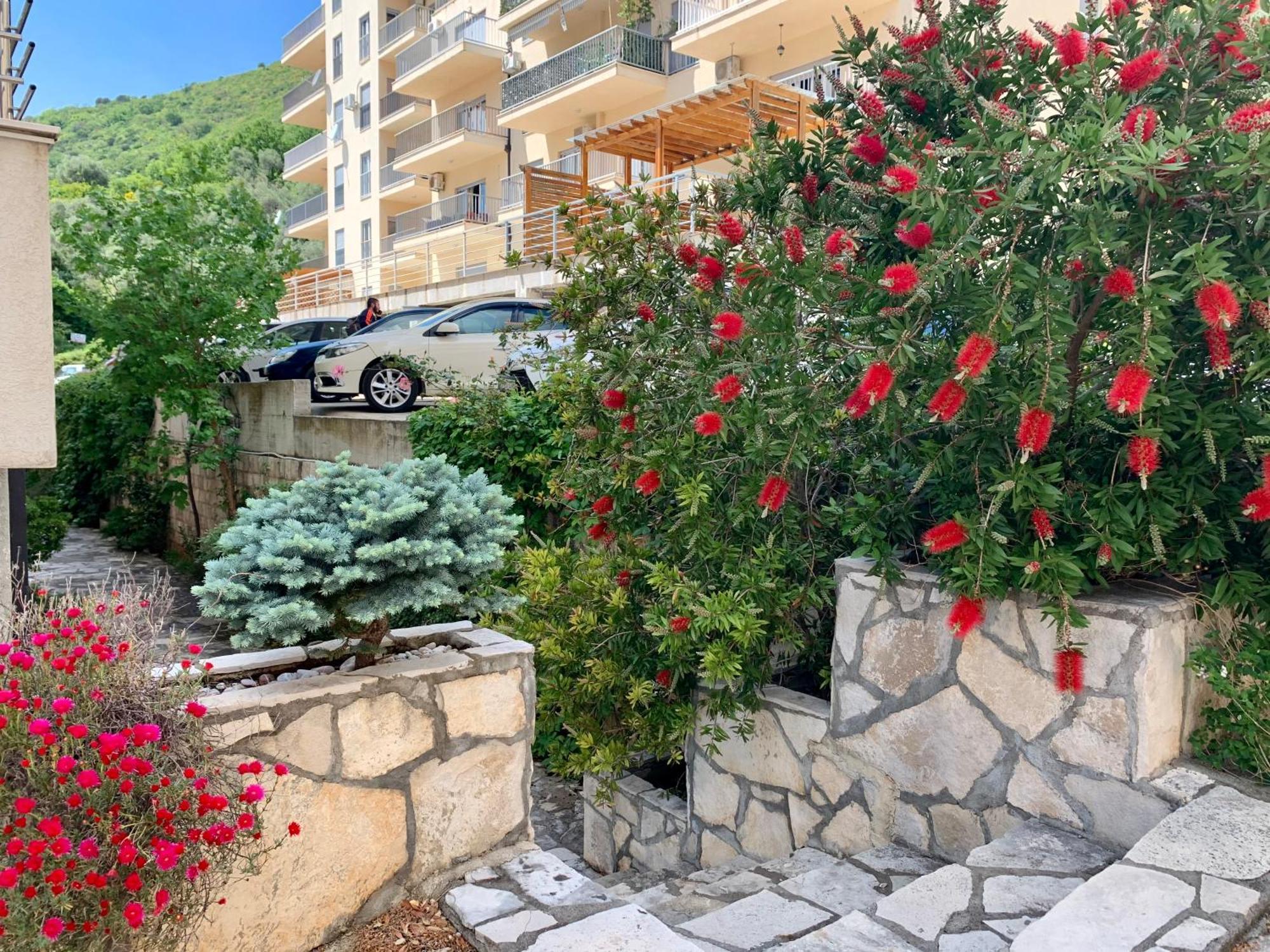 Best View Apartment Petrovac Exteriér fotografie